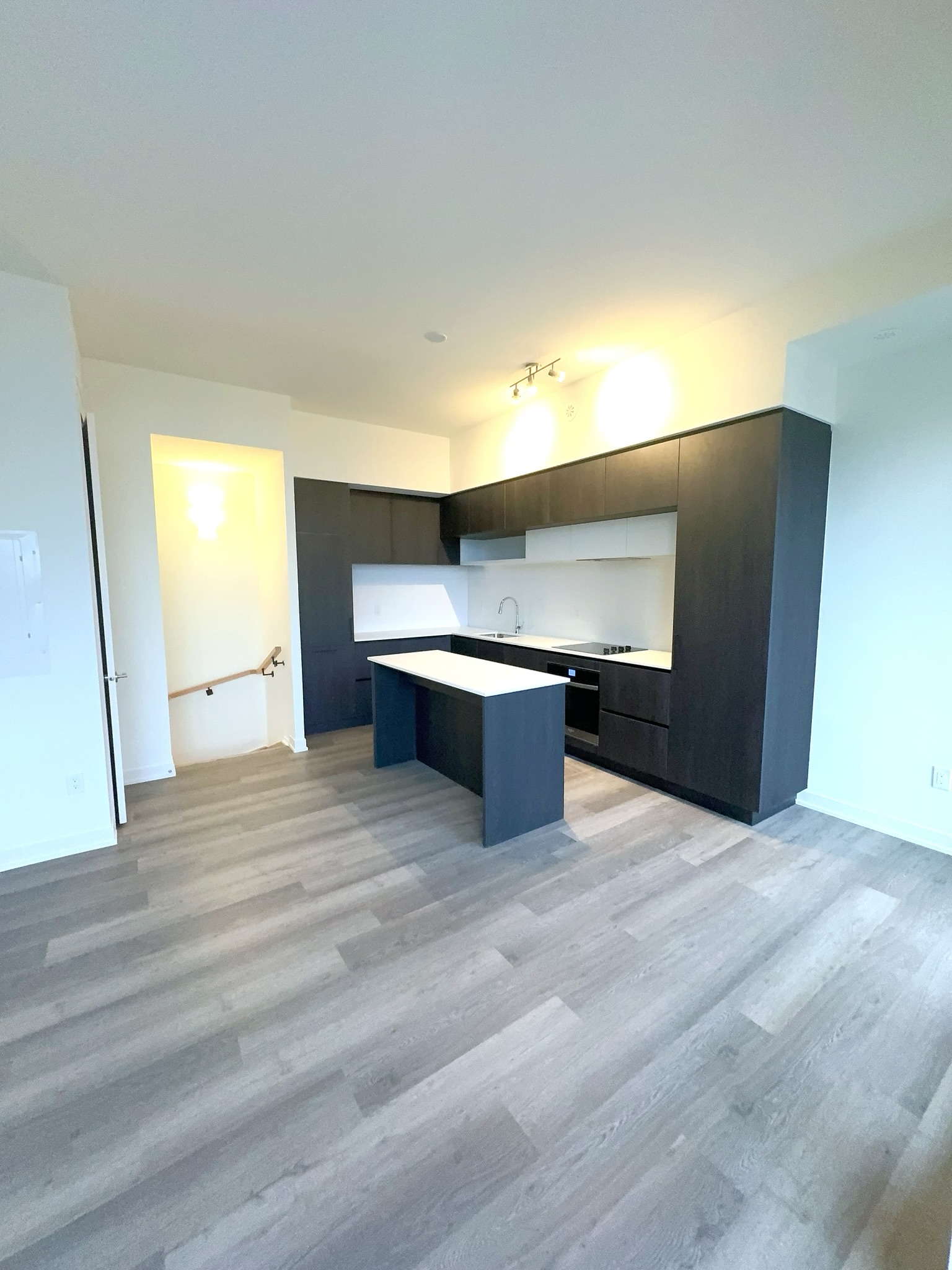Kitchen detail — quartz countertops and designer fixtures