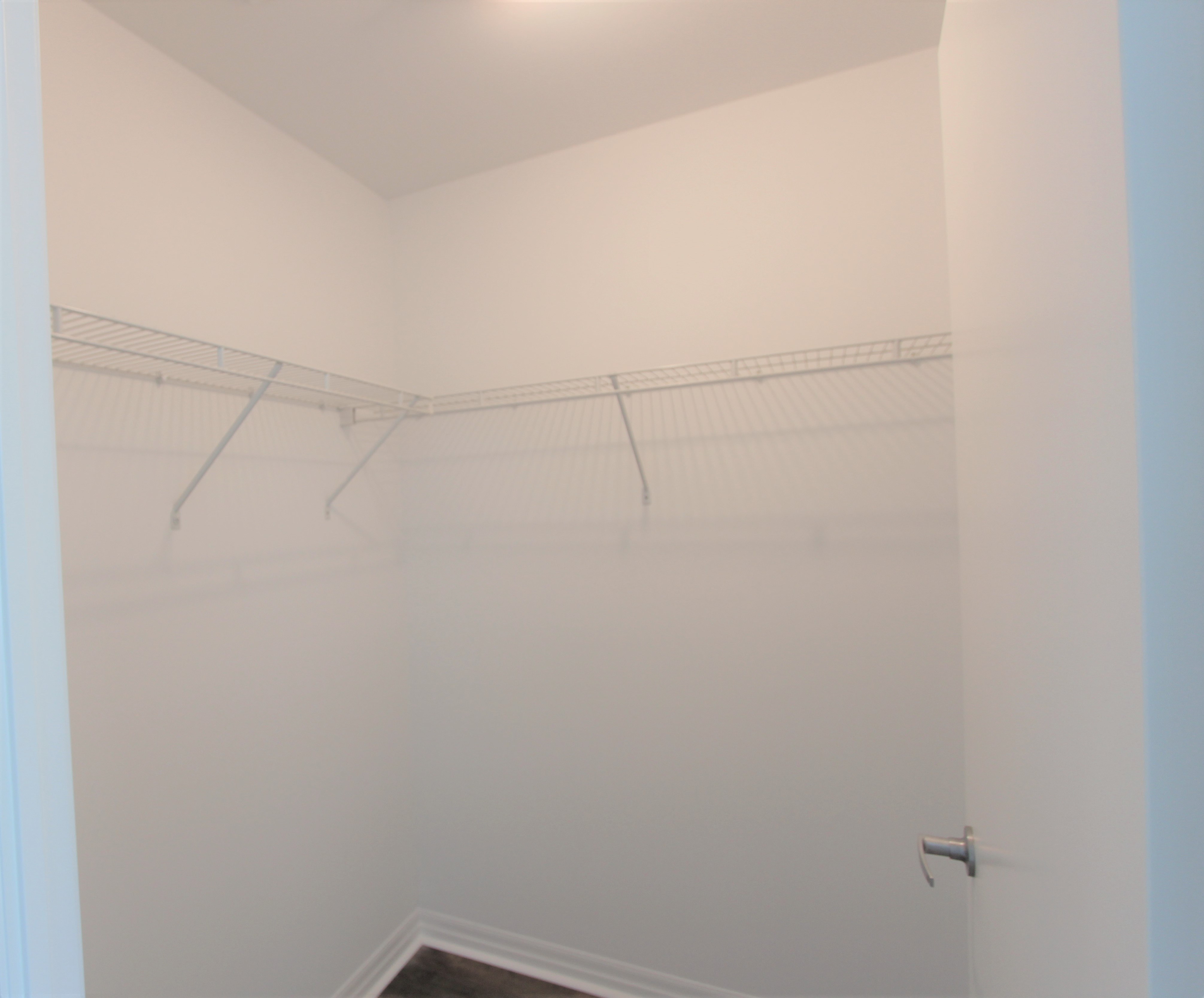 Primary bedroom — large window and natural light